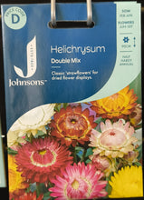 Load image into Gallery viewer, Helichrysum
