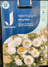 Load image into Gallery viewer, Helichrysum
