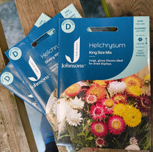 Load image into Gallery viewer, Helichrysum
